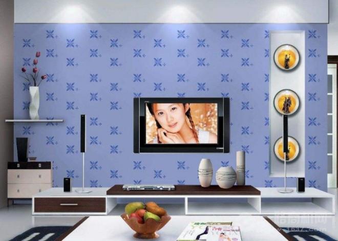 净然水性墙艺加盟 净然水性墙艺加盟