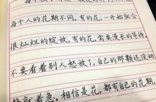 书写人生练字加盟