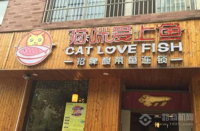 猫咪爱上鱼餐饮加盟