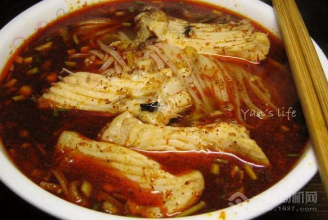 西風(fēng)度魚(yú)粉加盟