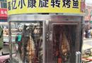 嘉亿小康旋转烤鱼
