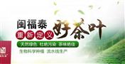 闽福泰茶叶