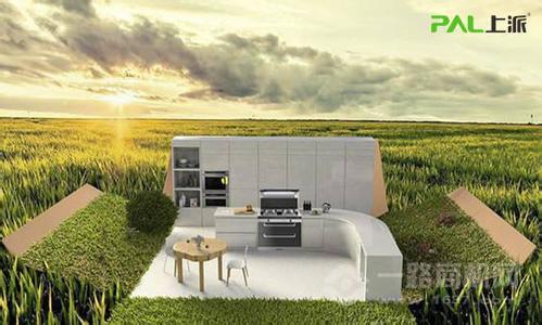 上派集成灶加盟