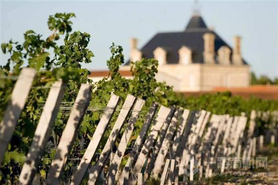 澳洲豹国际酒庄