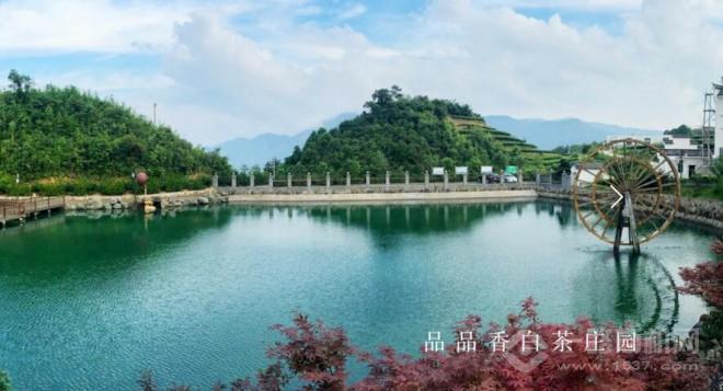 品品香加盟 品品香加盟