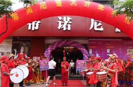 帝諾尼集成墻飾