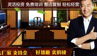 簡(jiǎn)致集成墻飾