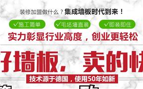 簡(jiǎn)致集成墻飾