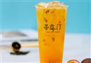 茶鑫汀茶饮
