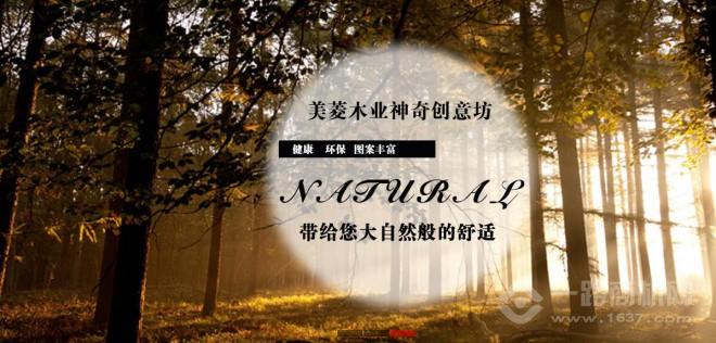 美菱木业墙艺 美菱木业墙艺