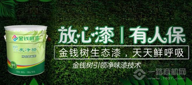 金錢樹漆加盟 金錢樹漆加盟