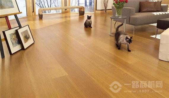 格雷米奥发热地板