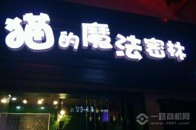 猫的魔法密林加盟
