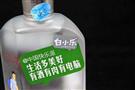 白小乐青春小酒