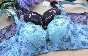 蝶詩倩品牌內衣