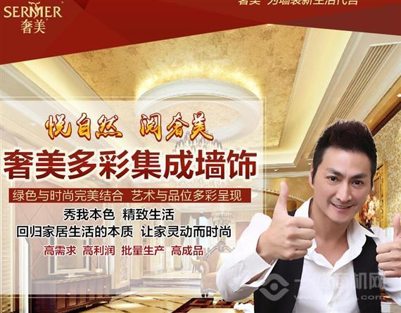 奢美多彩集成墙饰