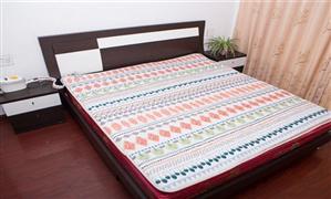 宜人熱被窩水暖床墊
