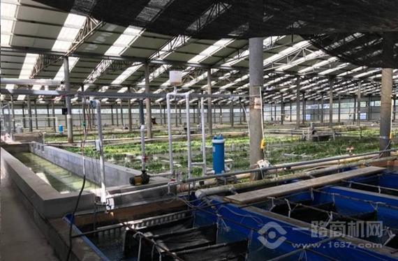 弘美光伏太阳能