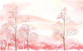 斯格雅集成墻飾