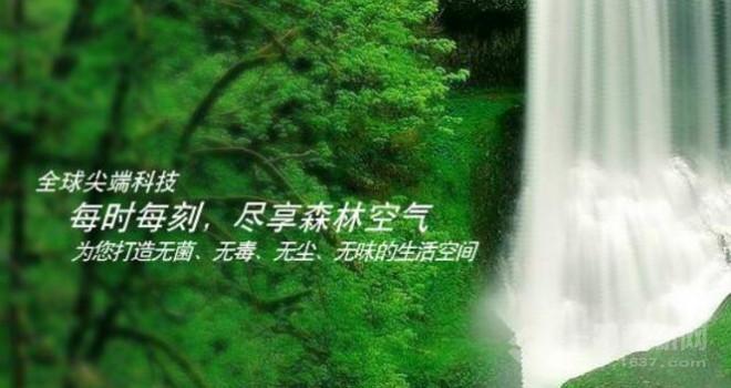 环春郎泰空气净化器加盟