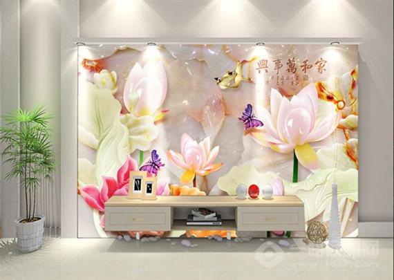 若木全屋整装墙饰