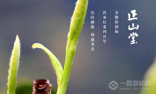 正山堂茶业加盟 正山堂茶业加盟