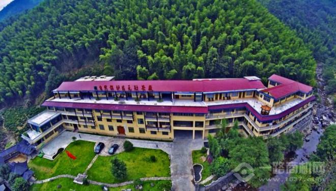 正山堂茶业 正山堂茶业