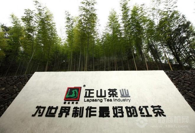 正山堂茶业 正山堂茶业