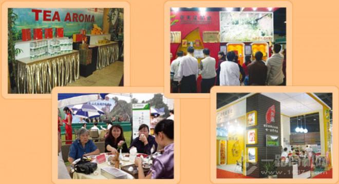 武夷星茶业 武夷星茶业