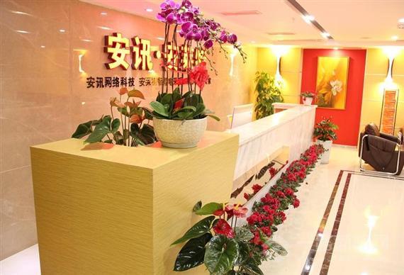 安莱特智能电采暖