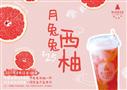 明月珑茶