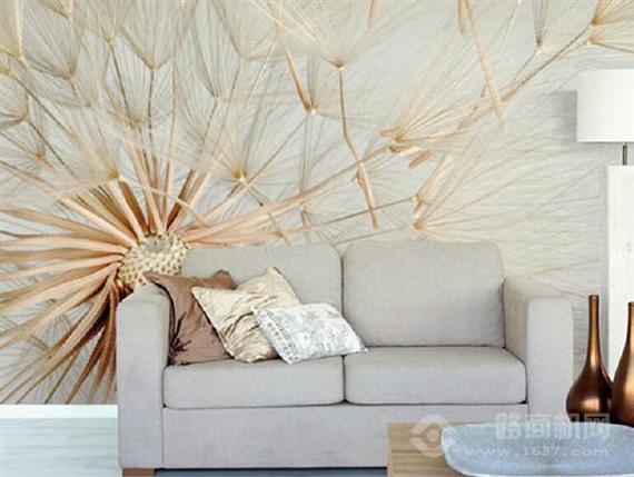 美联舍墙面装饰