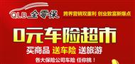 全零保车险