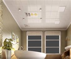 立瓦特集成吊頂