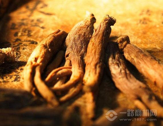 环翠楼天参
