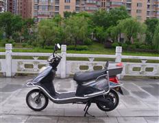 大陸鴿電動(dòng)車