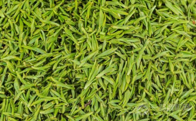 茗燕汇茶叶 茗燕汇茶叶