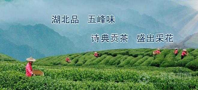 詩典貢茶