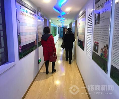 相泽青英全脑开发