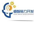 睿智脑力