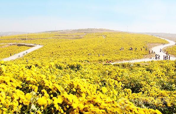 良心谷加盟 良心谷加盟