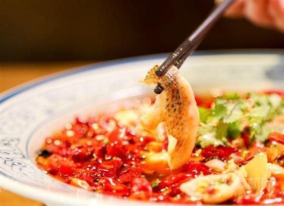 川鱼川说酸菜鱼