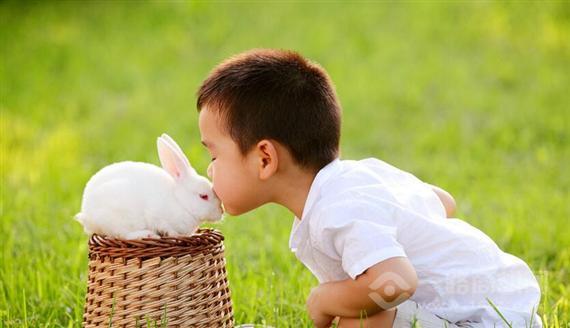 三只小熊儿童摄影