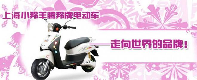 腾羚电动车加盟 腾羚电动车加盟