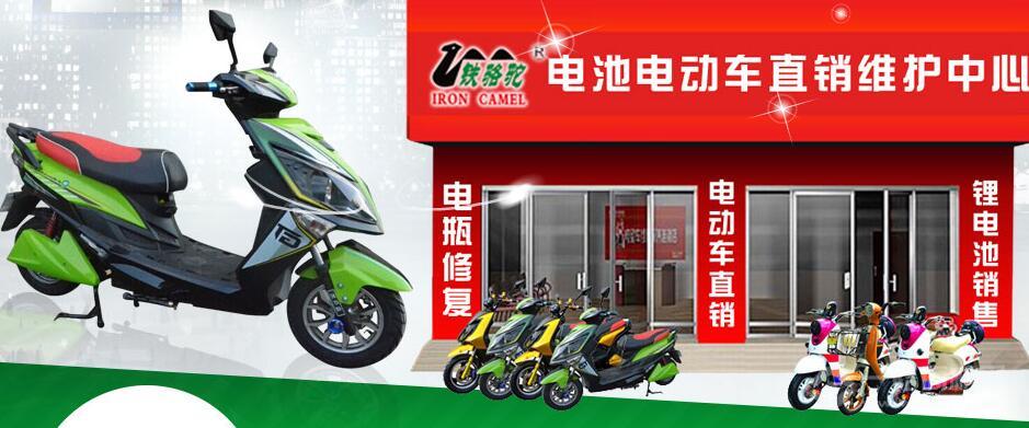 铁骆驼电瓶修复