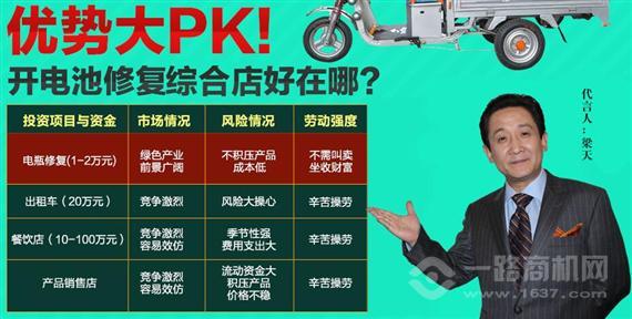 铁骆驼电瓶修复