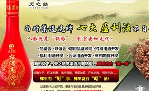 天之皓高粱酒