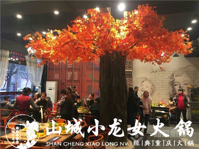 山城小龍女火鍋