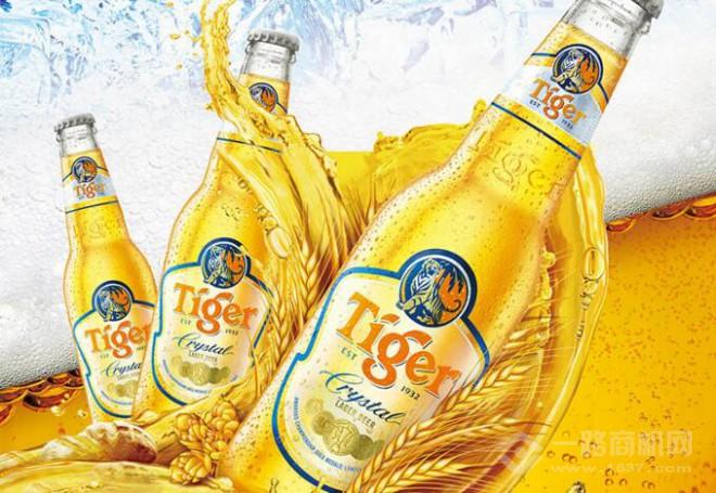 虎牌啤酒加盟