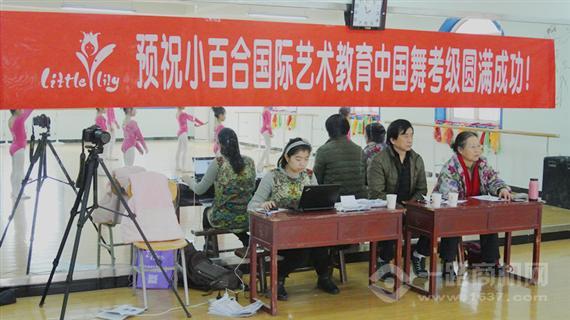 小百合国际艺术教育